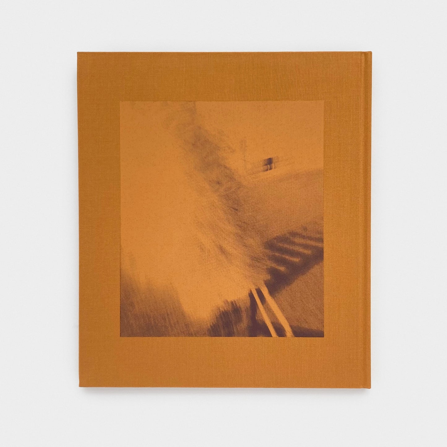 Masahisa Fukase: Hysteric Twelve