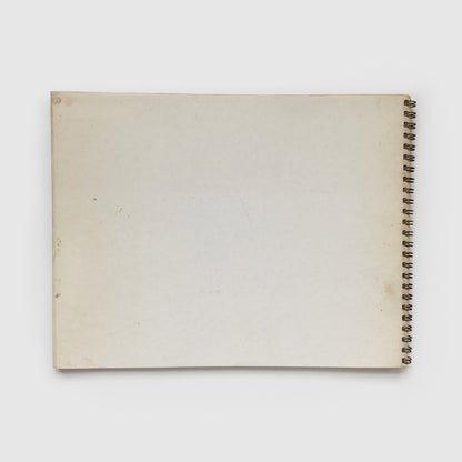 Basket, Table, Door, Window, Mirror, Rug: 53 Drawings by Richard Artschwager