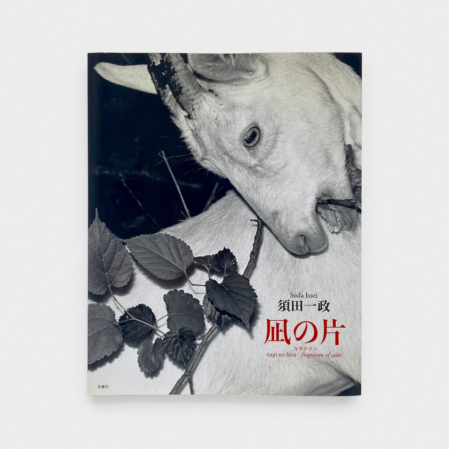 Issei Suda: Nagi no Hira - Fragments of Calm