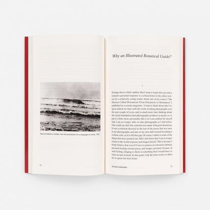 At the Limits of the Gaze: Selected Writings by Takuma Nakahira