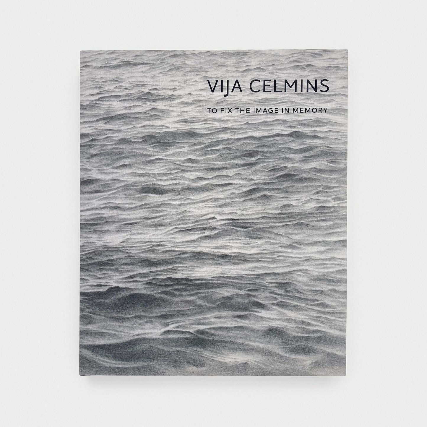 Vija Celmins: To Fix the Image in Memory